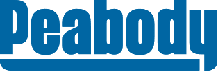 The image shows the blue and white Facebook logo with the stylized text "facebook" in lowercase.
